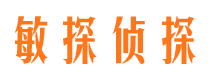 陆河捉小三公司